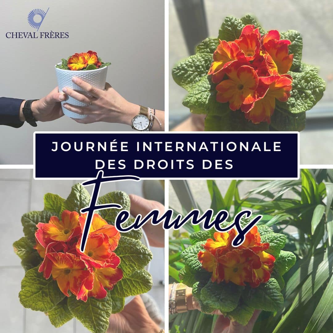 Journée internationale des droits des femmes